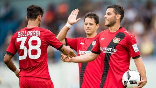 乒乓球雷磊磊长胶配置