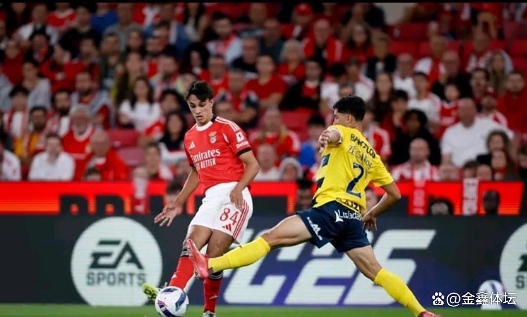 包含清晨AC米兰备战葡超，状态回暖细节曝光，媒体盛赞，高层口径保持一致的词条